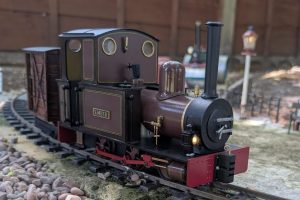 Garden open day_11 Garden open day_11